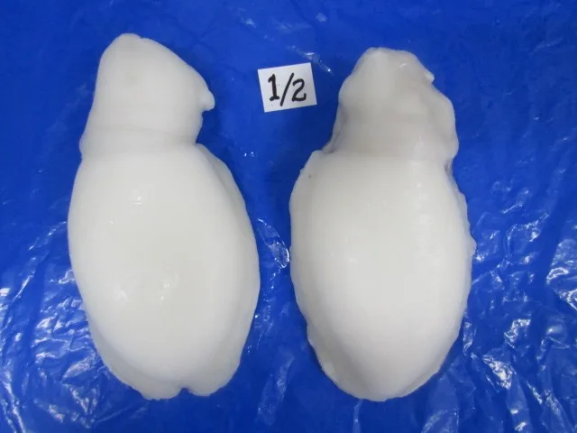 Frozen Cuttlefish cleaned IQF from India