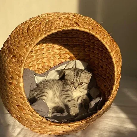 Оптовая продажа дом для домашних животных с водяным Гиацинтом из натурального материала Вьетнама кровать 0084947900124