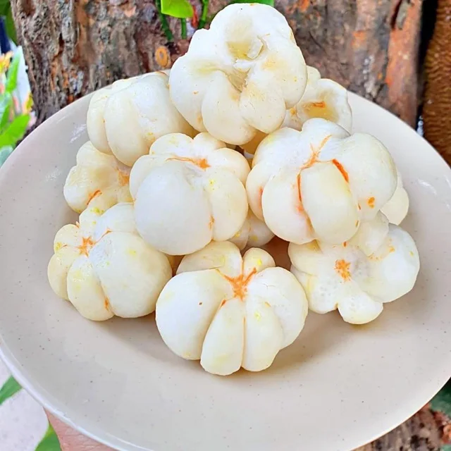 Mangosteen - Tropical Fruit Fresh And Sweet No Preservative Special Taste Natural Steamed Fresh Mangosteen