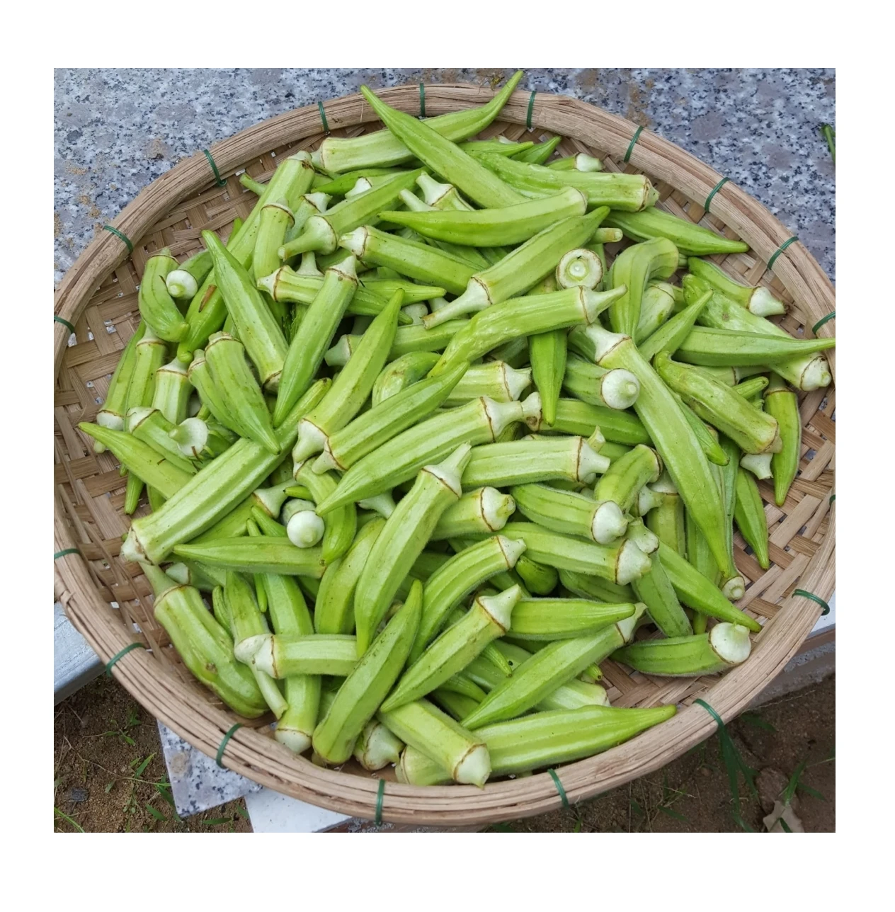 Okra для оптовая продажа оптом замороженный зеленый