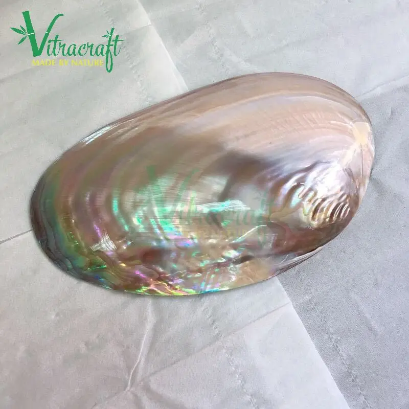 PINK  Pearl Plate , Mother Of Pearl Plate, Caviar Mop Seashell