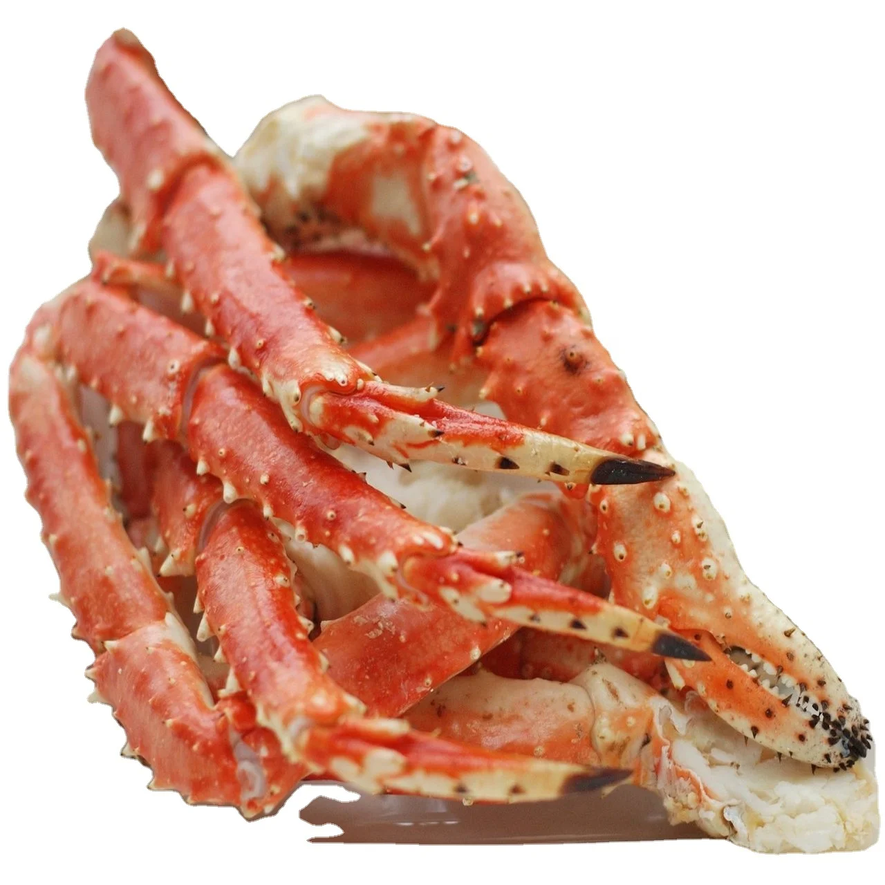 
Best Price King Crabs Frozen Alaskan King Crab Legs Seafood Bulk Boiled King Crab Legs Food 