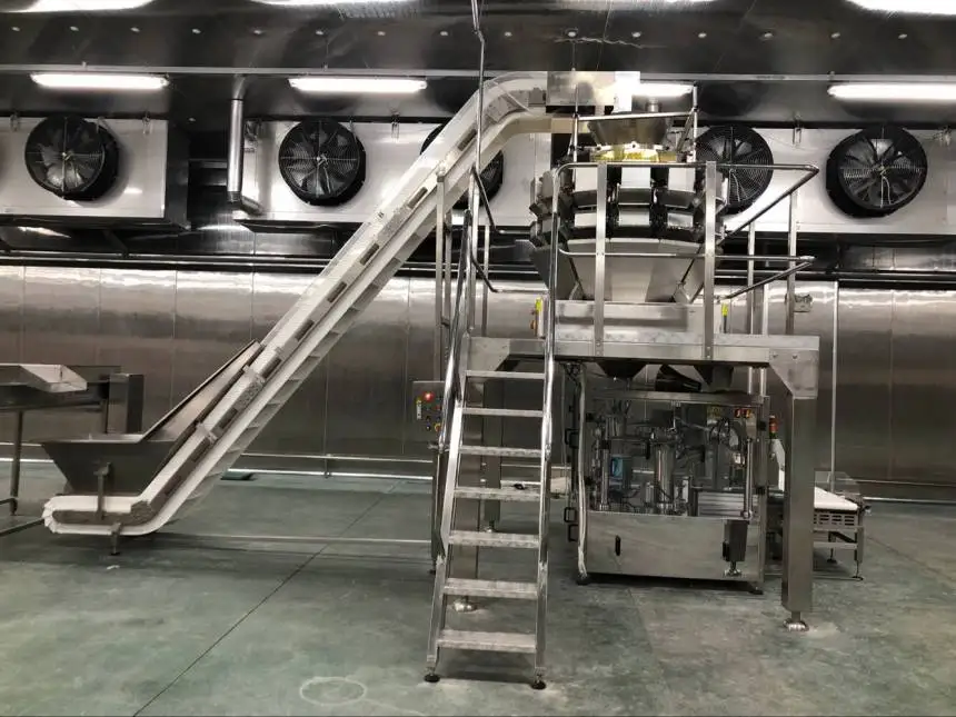 China Factory Seller Granule Pack Potato Chips Packaging Rotary Pre-made Bag Packing Machine