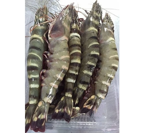 Vietnam Frozen Black Tiger Shrimp HLSO Headless Shell On Shrimp Whole Price to Export