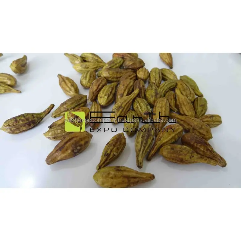 Terminalia Chebula Seeds Best Price Terminalia Chebula Seeds Rich Quality Chebula Seeds Genuine Quality