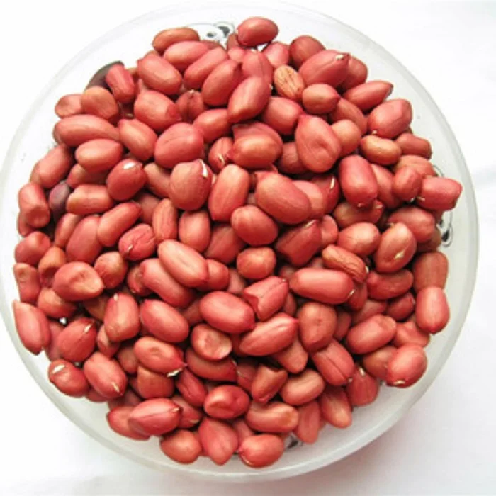 High Quality Peanuts Kernels / Groundnuts For Sale