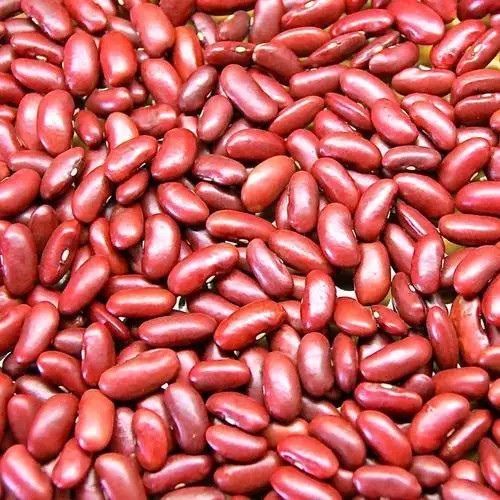 Dried High yield red kidney beans