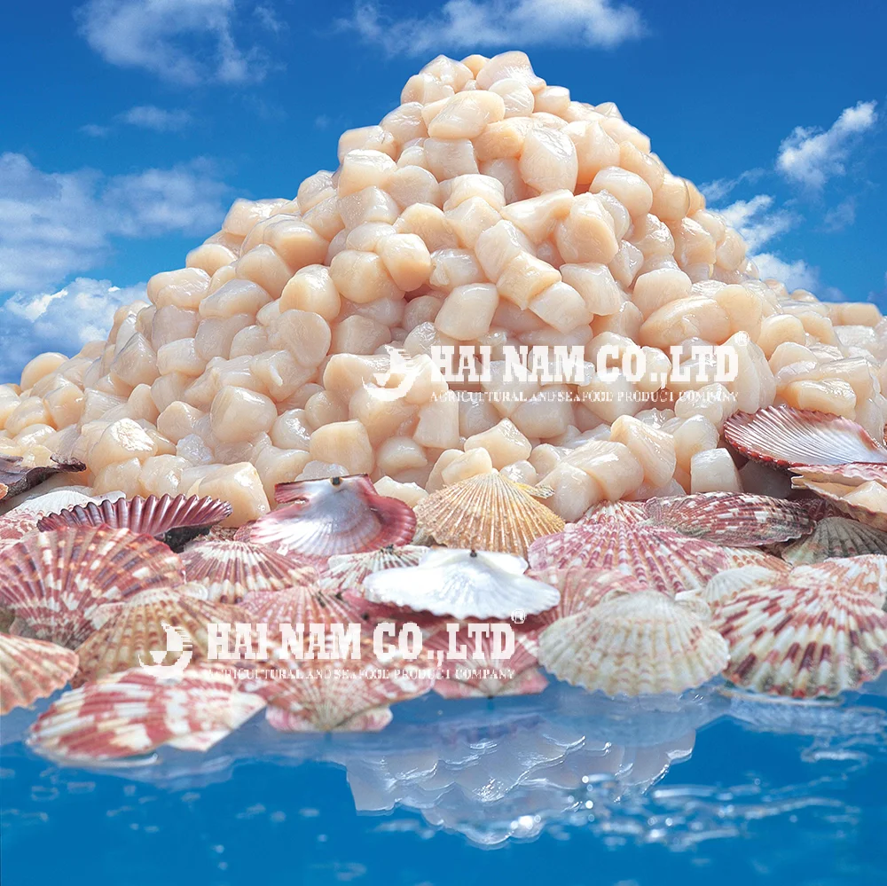 Good Quality 2 Years Shelf Life Characteristics Flavor Frozen Scallop Meat Made In Vietnam