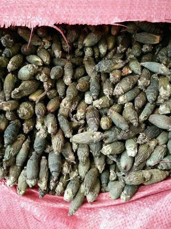  Dried Betel nut Sliced Areca split nuts for