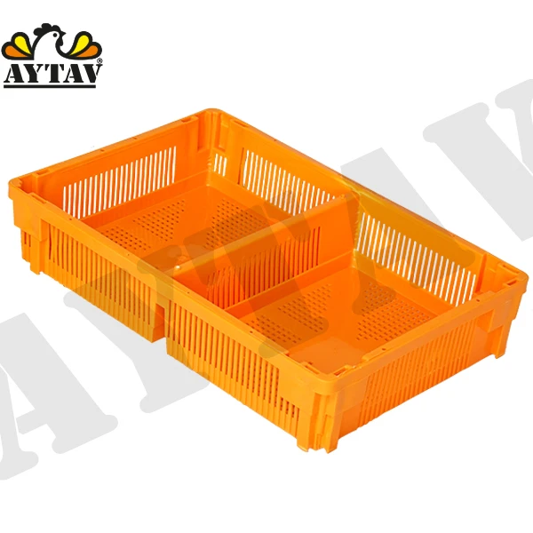 Small Plastic Chick Box with 2 Compartments New Condition Chicken Coop or Poultry Cage for Farm Use
