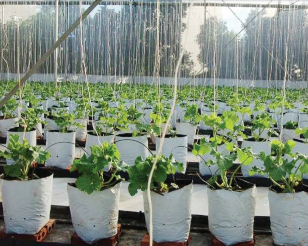 Hot sell Potting Soil Bagged Coco Peat for Incubating Plants Coconut Fiber Chip Husk Mix Pre-filled Bag Smart Solution for Plant