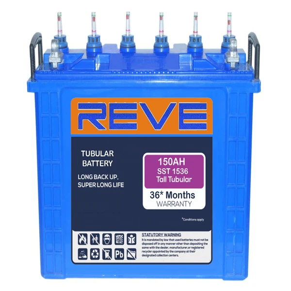 Reve Solar Tubular Battery High Performance sealed Tubular Battery 12V 150AH Deep Cycle Tubular Battery Supplier