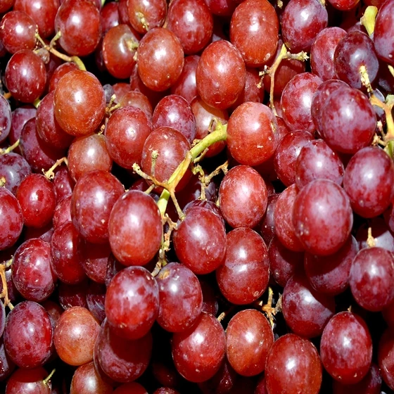 
Seedless grape  (1600086862209)