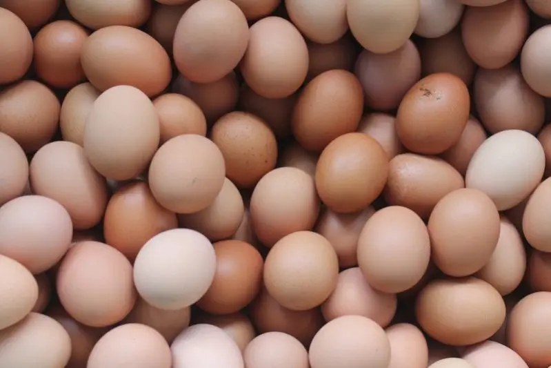a-basket-of-egg.jpg
