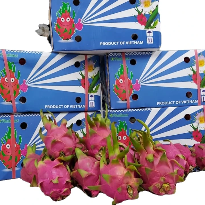 VIETNAM white/red Dragon fruit/ whatsapp +84966208131