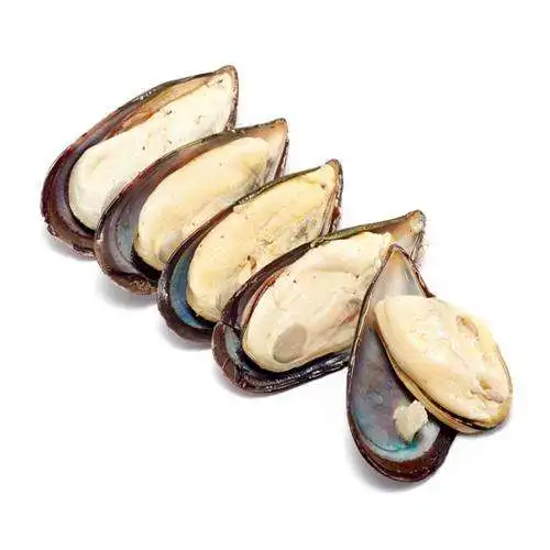 Seafood Mytilus Edulis Frozen Shellfish Without Shell Frozen Mussel Meat