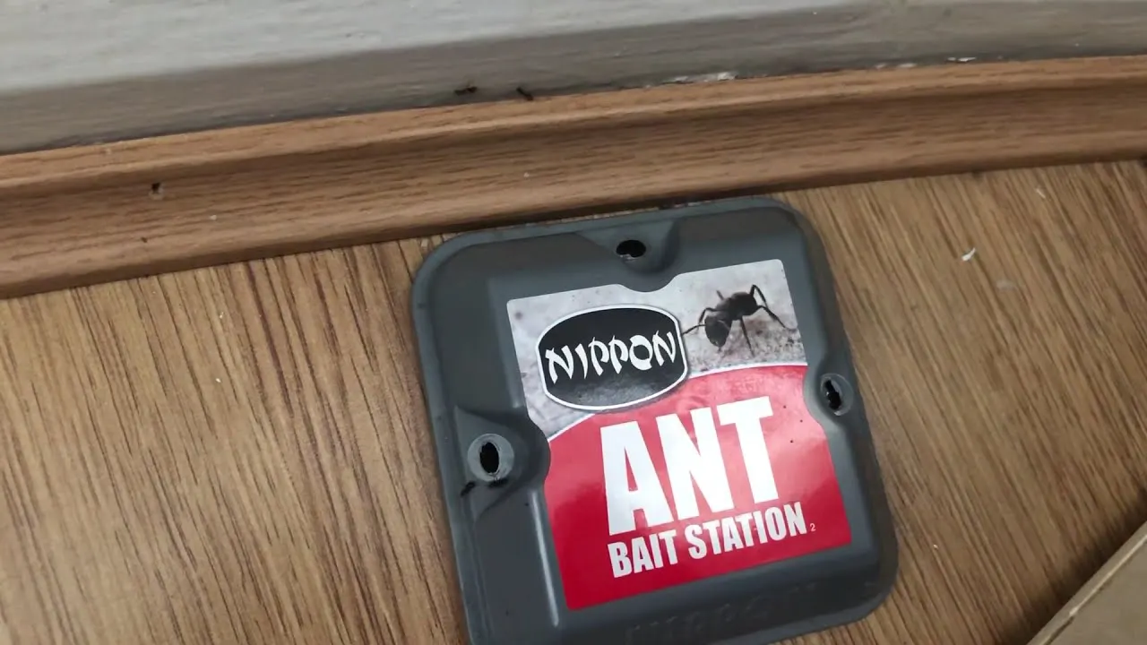 Ant Bait Station Ant Control Traps For Indoor and Outdoor Use Ant Killer Box