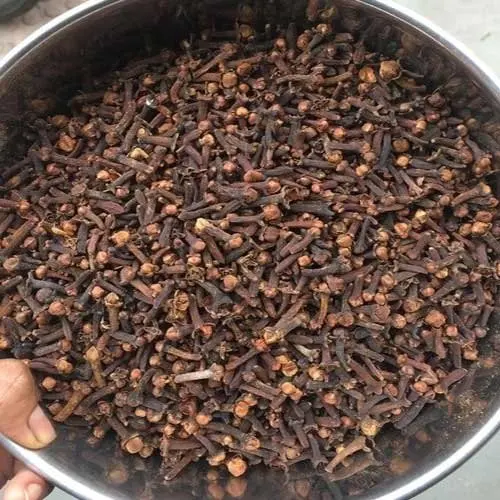 Handpicked Ceylon Cloves from India with best quality and most competitive price available in India in customize pack