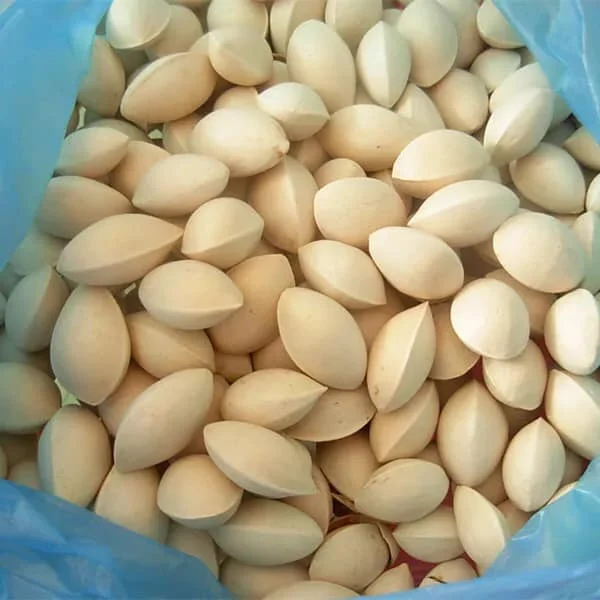 frozen ginkgo nuts(gingko) (1600447050070)