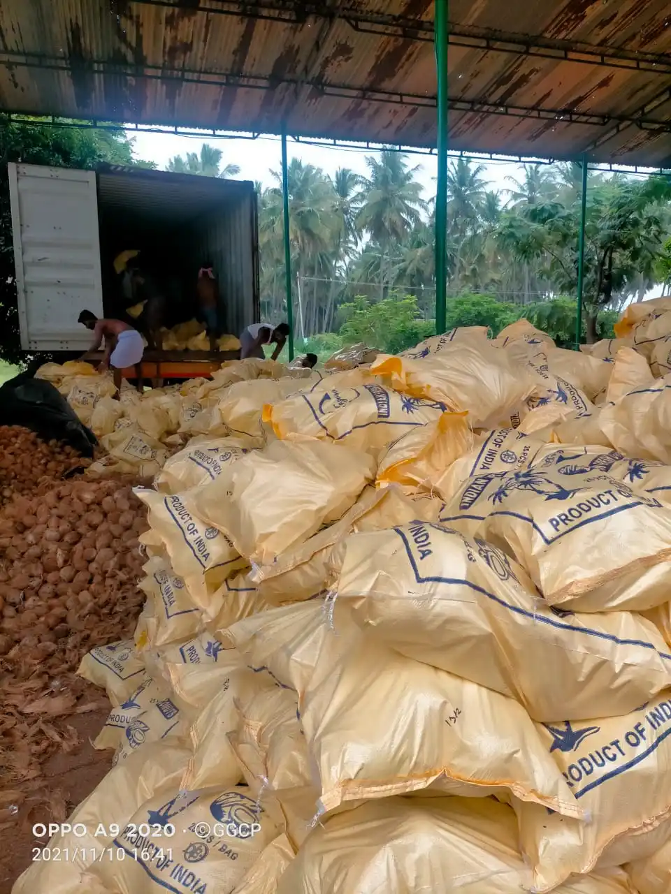 Coconut Large Manufacture Exporter of Coconut 100% Natural  Used Food Oil  More Milk Extraction Packaging  Customised logo