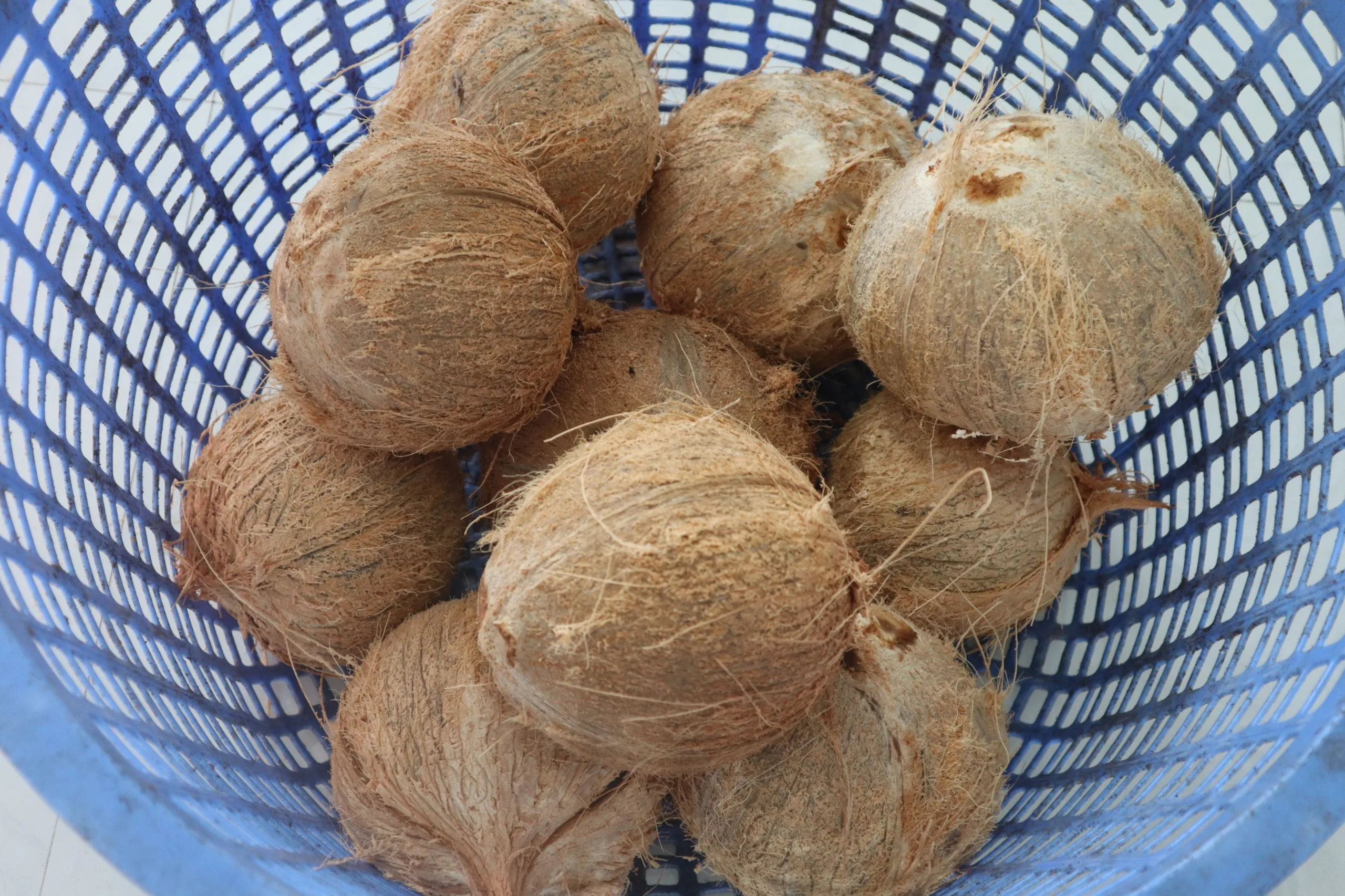 Вьетнамский сушеный полуочищенный кокос 100%