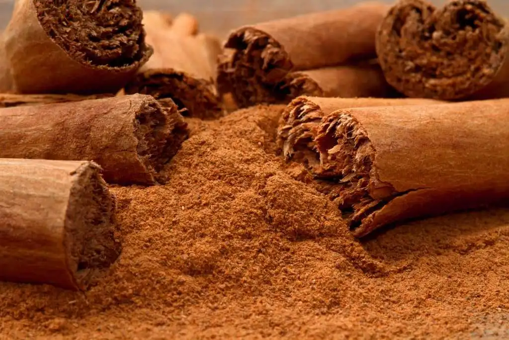 Vietnam cinnamon/cassia whole/split/broken/powder 2021 wholesale
