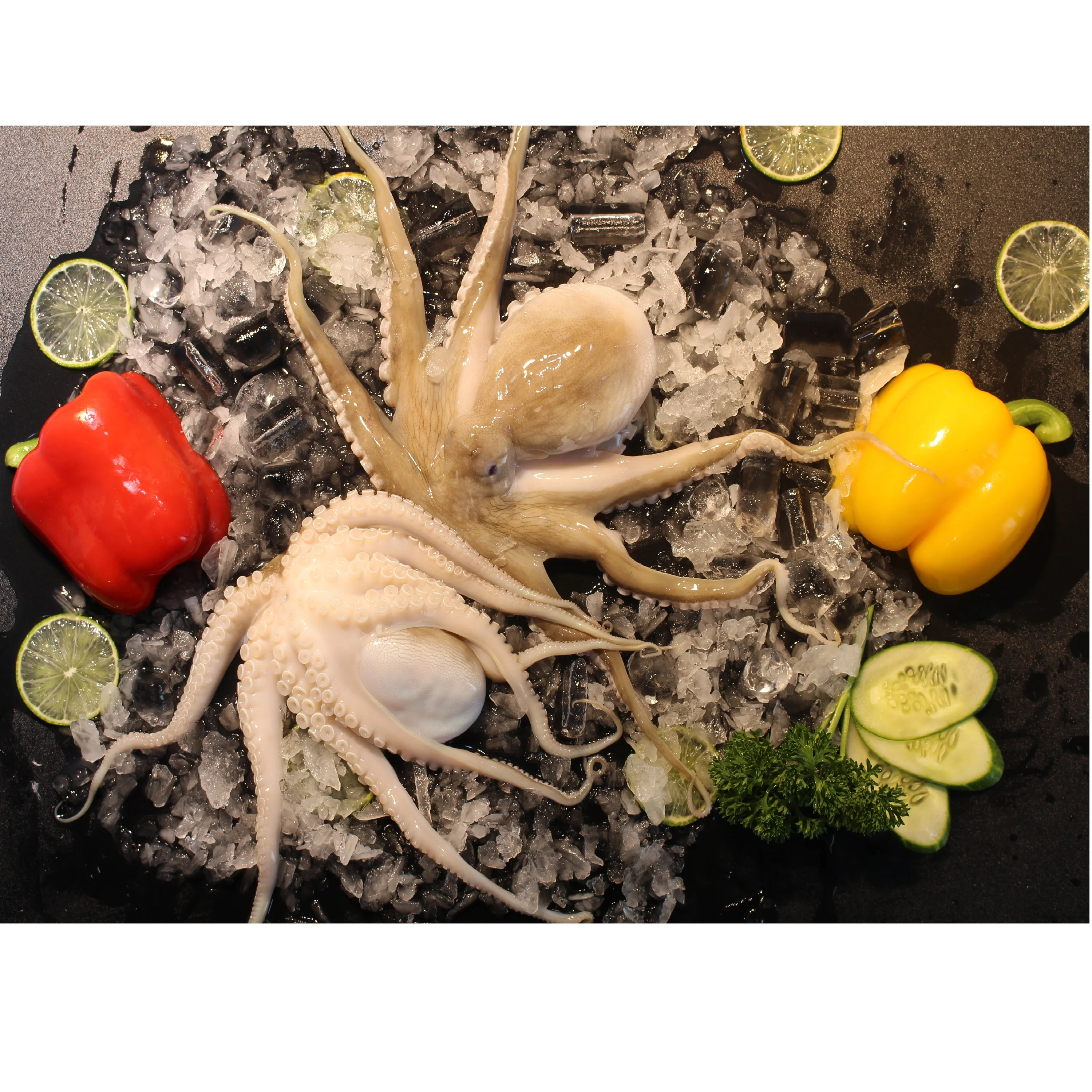 
High Quality Whole Piece Frozen Shelf Life 12 Months From Vietnam Octopus 