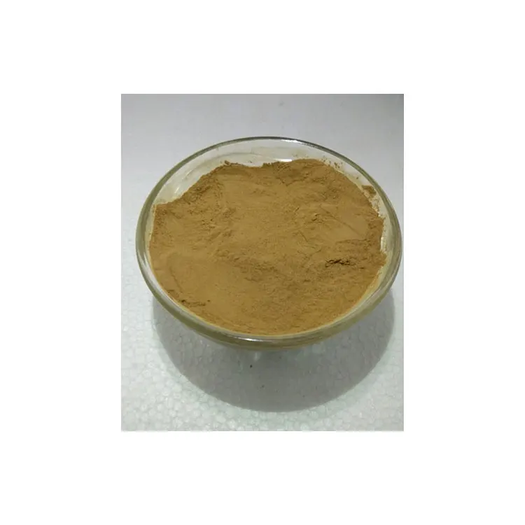 Direct Factory Sale Top Grade 100% Pure & Organic Root Extract Rhodiola Herbal Powder from Best Indian Seller