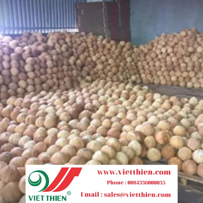 Dried coconut provides large quantities with clear origin at reasonable prices to ensure prestige and quality for consumers