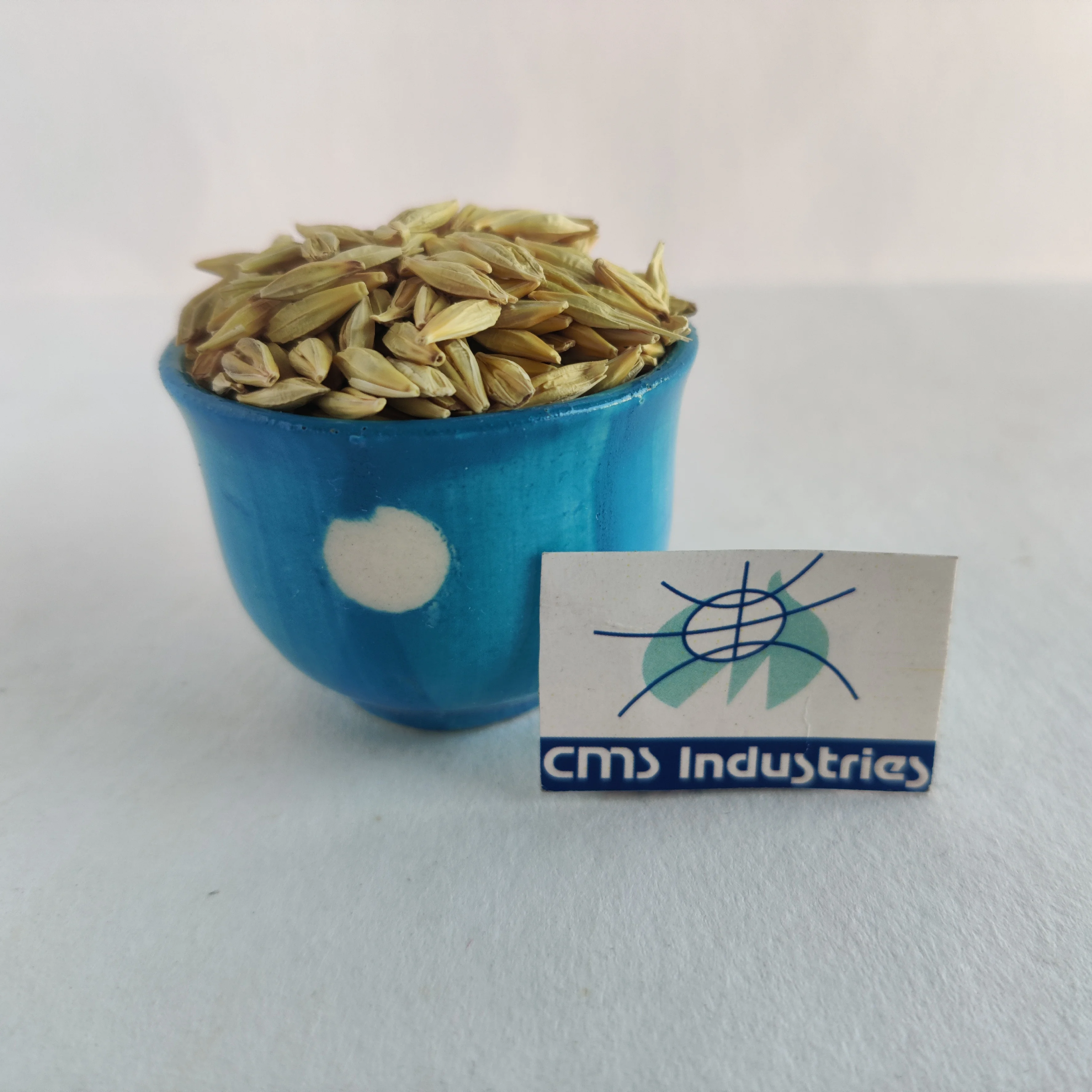 Barley of Leading Supplier