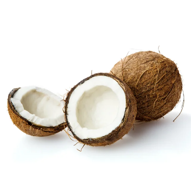 Supplier dessicated coconut low fat desiccated coconut low fat snacks food coconut powder
