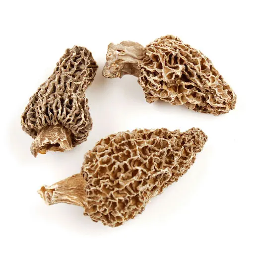 Morel & Morchella Mushroom With Best Price