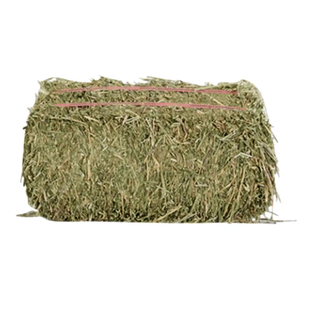 
Quality ALFAFA HAY IN BALES, TIMOTHY HAY AND ALFAFA HAY PELLETS FOR SALE 