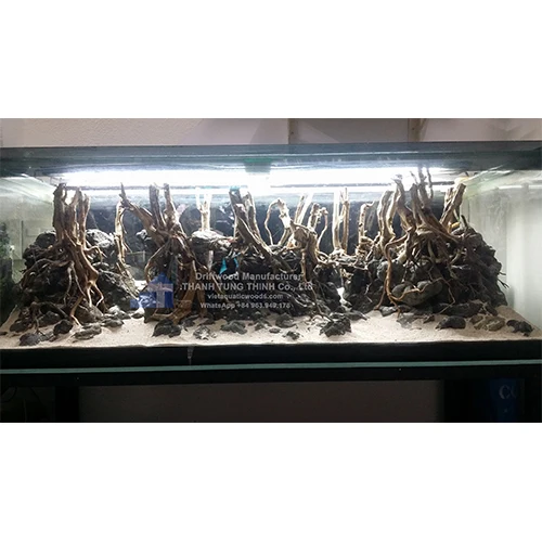 Hot sales 2024 Natural Trunk Driftwood Tree for Aquarium Fish Tank Decoration Ornament Landscape WhatsApp: +84 961005832