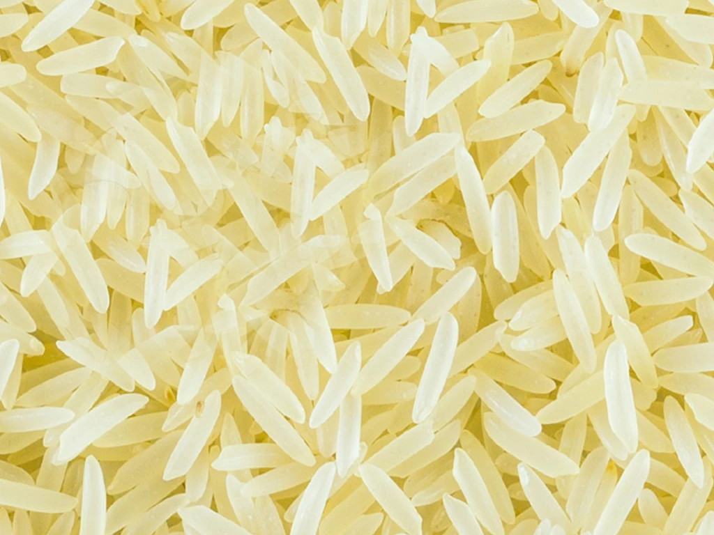 Hot Sale from Reliable Supplier Pakistan  Super Kernel Sella (Parboiled) Basmati White Extra Long Grain Rice