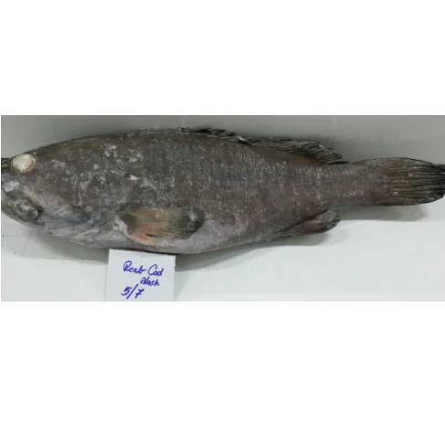 Китай, 24 месяца, срок годности, сертификат GMP HACCP, замороженная рыба, цельный раствор