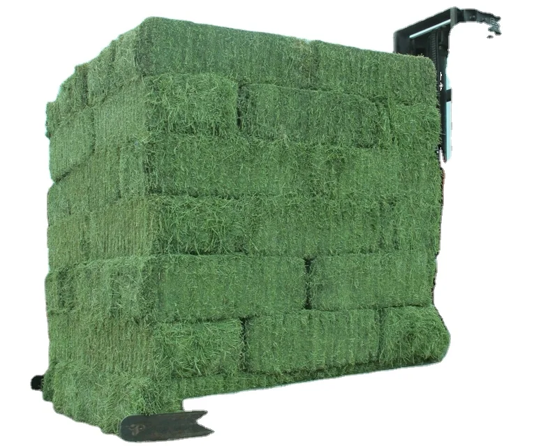 Alfalfa Hay for Animal Feed sale