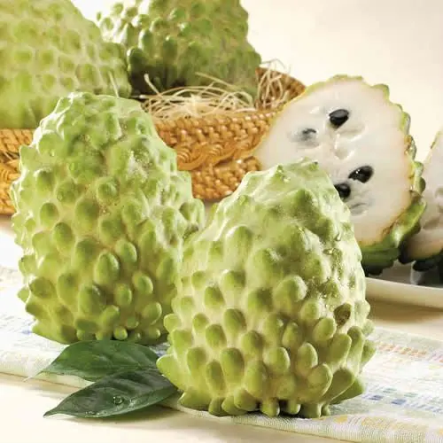 FRESH SOURSOP/ GRAVIOLA - WHOLE YEAR SUPPLY - 2023 GOOD PRICE