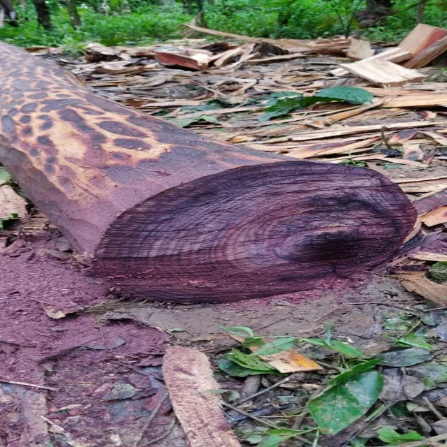 
Best Rosewood log 