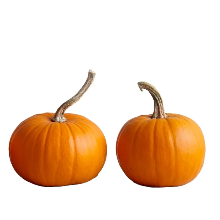 Pumpkin Vegetable Snack Soft Texture for All Age Healthy and Delicious Nutrition made in Thailand