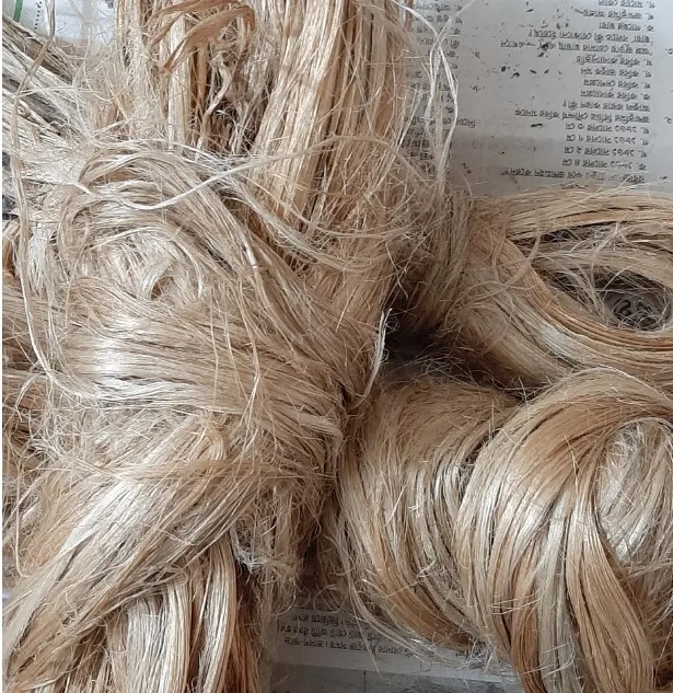 Factory Sale Medium Weight Long Size Environmental Protection Best Quality Raw Jute Tossa