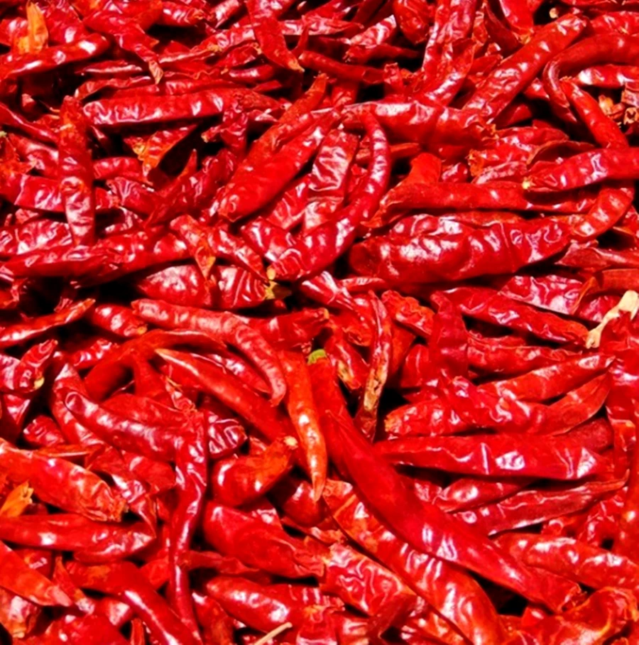 100% Dried Chili No Stems Hight Quality Hot Peppers Spices Sun Dried Whole Chile Pepper stemless Premium Product of Thailand
