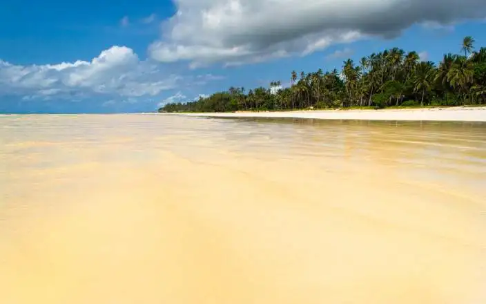 11 Days Kenya - Zanzibar safari