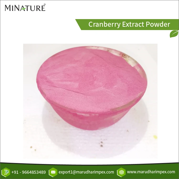 Global Supplier Most Selling Finest Quality 100% Pure & Organic Cranberry Fruit Extract Powder