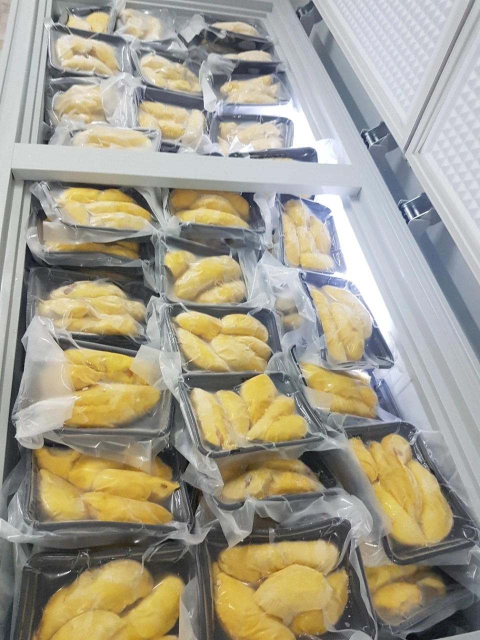 Wholesale Frozen Durian