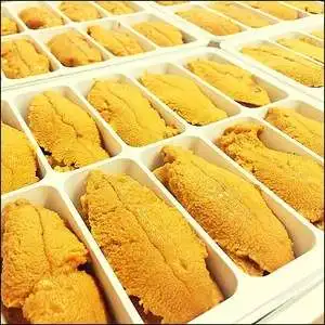  Высококачественный замороженный морской урчин на продажу