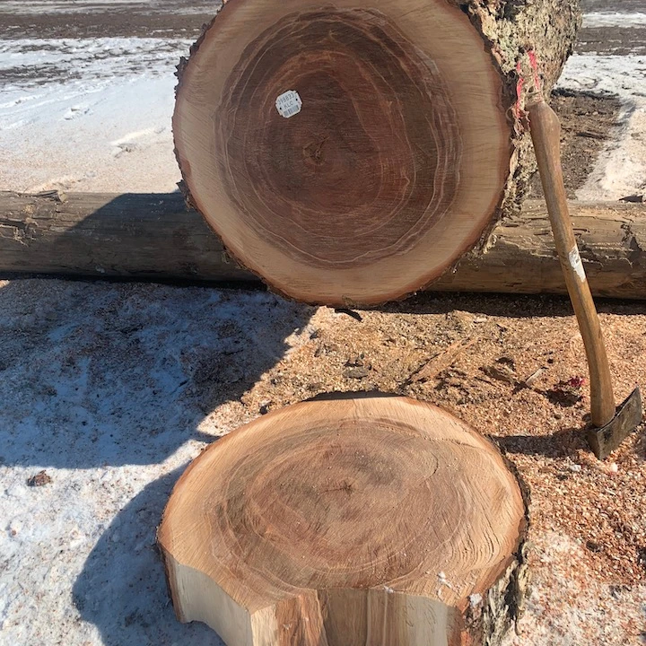 Бревна березы, диаметр 30 + см
