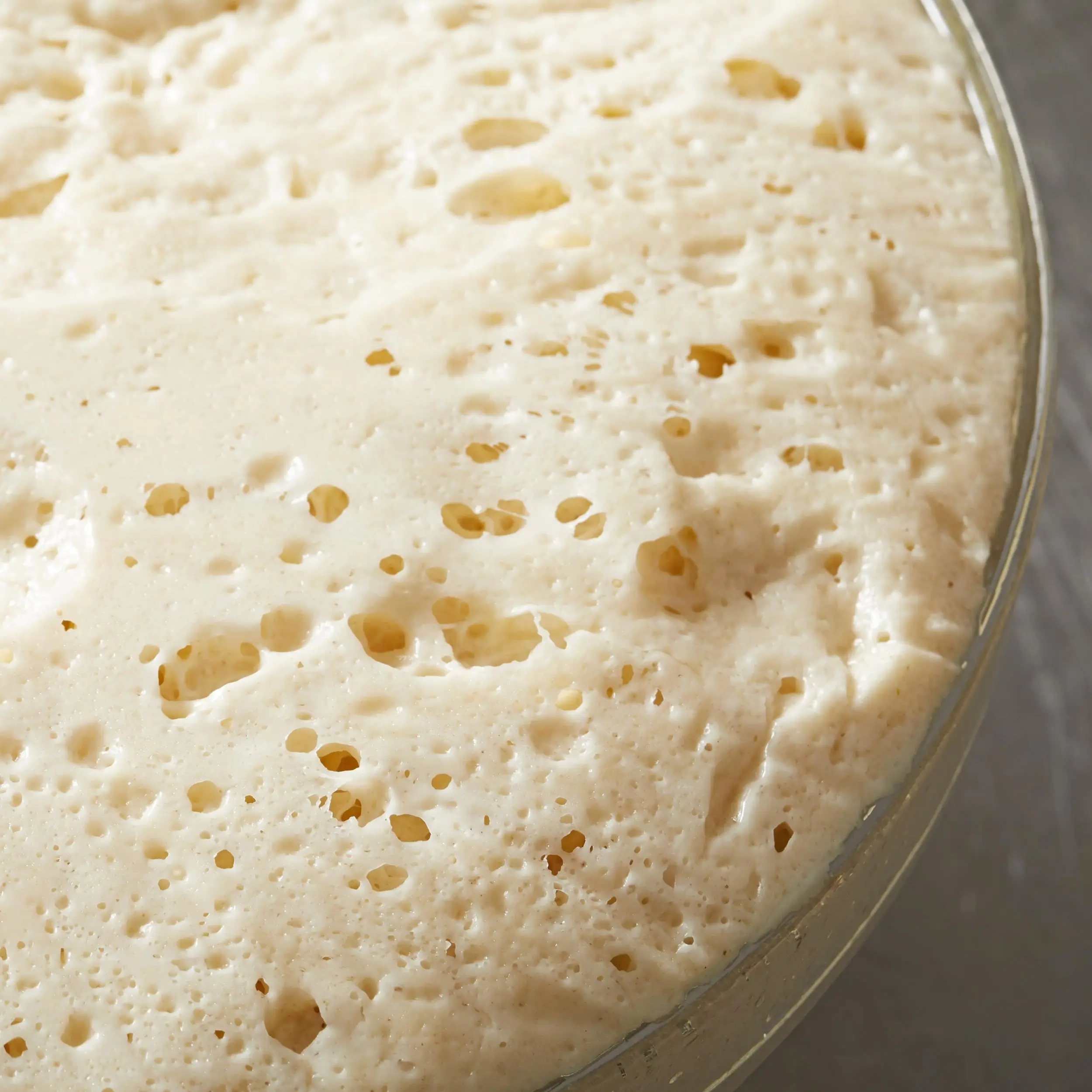 cheap price 500g bread Instant dry yeast for bakery