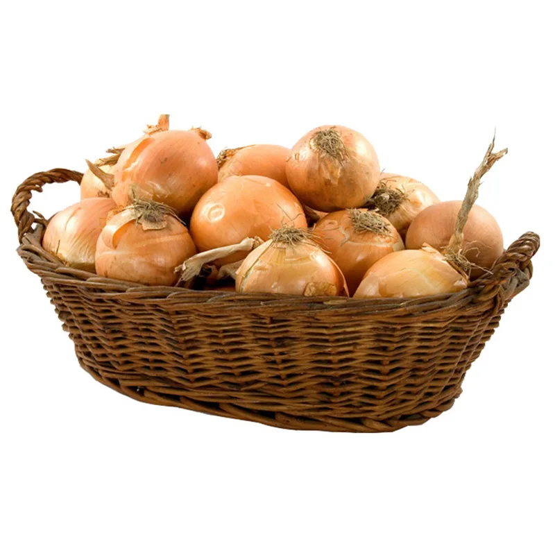 pure fresh yellow Celebration onion suppliers