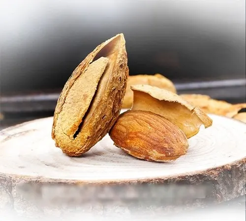 Raw Almonds (In Shell)